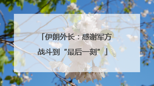 伊朗外长：感谢军方战斗到“最后一刻”