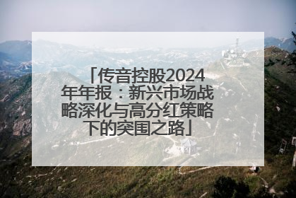 传音控股2024年年报：新兴市场战略深化与高分红策略下的突围之路