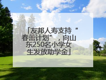 友邦人寿支持“春蕾计划”，向山东250名小学女生发放助学金
