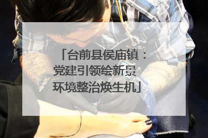 台前县侯庙镇：党建引领绘新景 环境整治焕生机