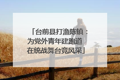 台前县打渔陈镇：为党外青年建跑道 在统战舞台竞风采
