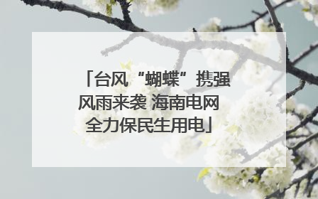 台风“蝴蝶”携强风雨来袭 海南电网全力保民生用电