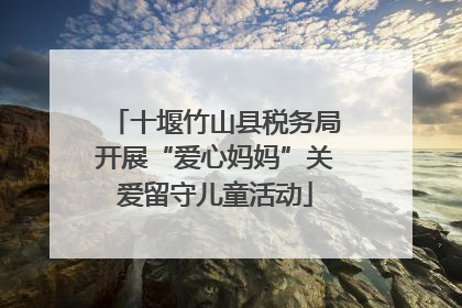 十堰竹山县税务局开展“爱心妈妈”关爱留守儿童活动