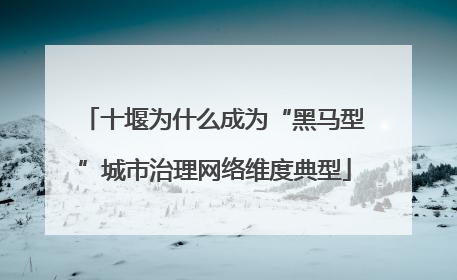 十堰为什么成为“黑马型”城市治理网络维度典型