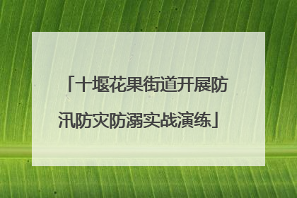 十堰花果街道开展防汛防灾防溺实战演练