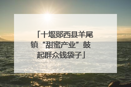 十堰郧西县羊尾镇“甜蜜产业”鼓起群众钱袋子