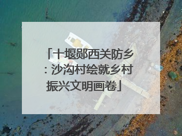 十堰郧西关防乡：沙沟村绘就乡村振兴文明画卷