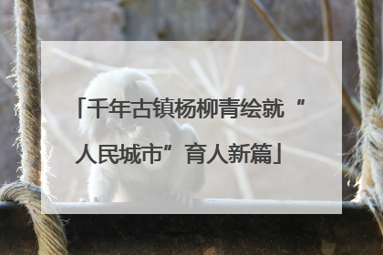 千年古镇杨柳青绘就“人民城市”育人新篇