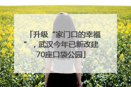 升级“家门口的幸福”，武汉今年已新改建70座口袋公园