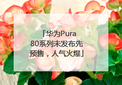 华为Pura 80系列未发布先预售，人气火爆