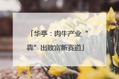 华亭：肉牛产业“犇”出致富新赛道
