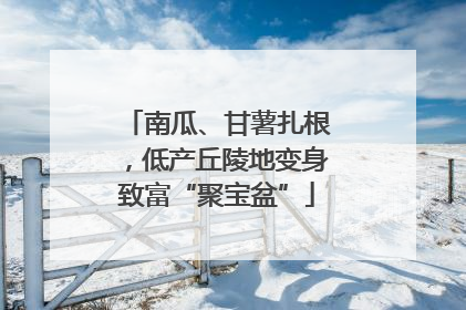 南瓜、甘薯扎根，低产丘陵地变身致富“聚宝盆”