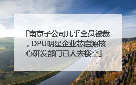 南京子公司几乎全员被裁，DPU明星企业芯启源核心研发部门已人去楼空