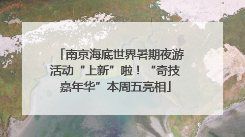 南京海底世界暑期夜游活动“上新”啦！“奇技嘉年华”本周五亮相