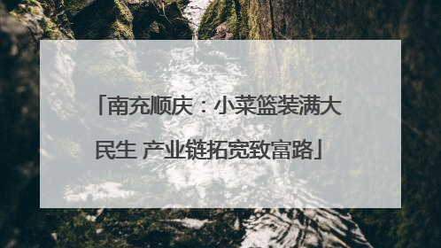 南充顺庆：小菜篮装满大民生 产业链拓宽致富路