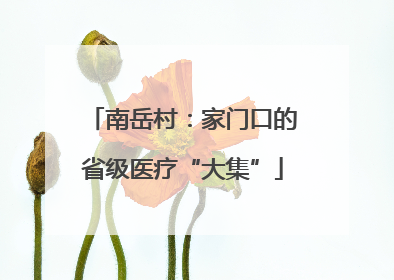 南岳村：家门口的省级医疗“大集”