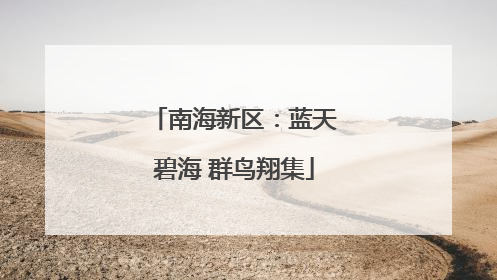 南海新区：蓝天碧海 群鸟翔集