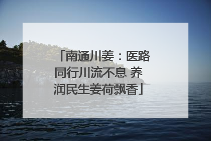 南通川姜：医路同行川流不息 养润民生姜荷飘香