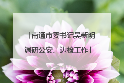 南通市委书记吴新明调研公安、边检工作