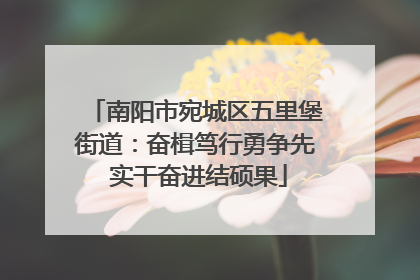 南阳市宛城区五里堡街道：奋楫笃行勇争先 实干奋进结硕果