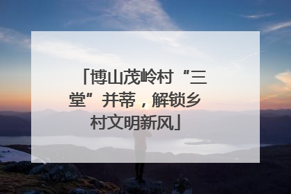 博山茂岭村“三堂”并蒂，解锁乡村文明新风