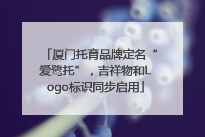 厦门托育品牌定名“爱鹭托”，吉祥物和Logo标识同步启用