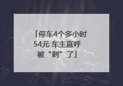 停车4个多小时54元 车主直呼被“刺”了