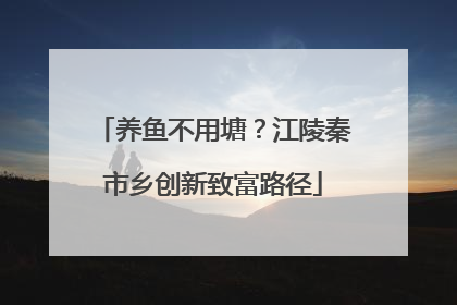 养鱼不用塘？江陵秦市乡创新致富路径