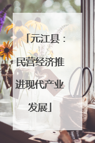 元江县：民营经济推进现代产业发展
