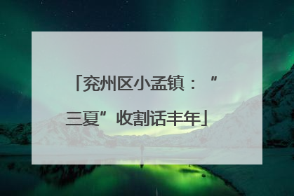 兖州区小孟镇：“三夏”收割话丰年
