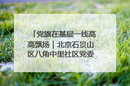 党旗在基层一线高高飘扬｜北京石景山区八角中里社区党委：用脚步丈量民生