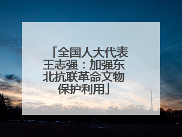 全国人大代表王志强：加强东北抗联革命文物保护利用
