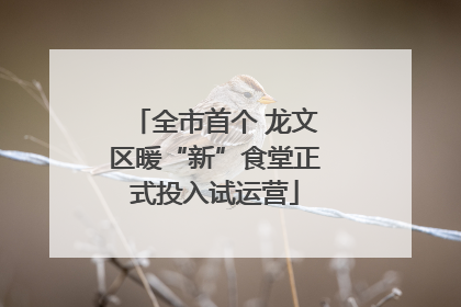 全市首个 龙文区暖“新”食堂正式投入试运营