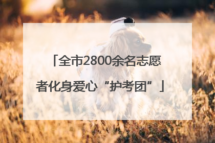 全市2800余名志愿者化身爱心“护考团”