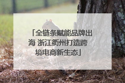 全链条赋能品牌出海 浙江衢州打造跨境电商新生态