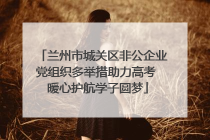 兰州市城关区非公企业党组织多举措助力高考 暖心护航学子圆梦