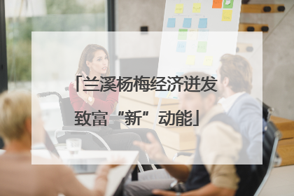 兰溪杨梅经济迸发致富“新”动能