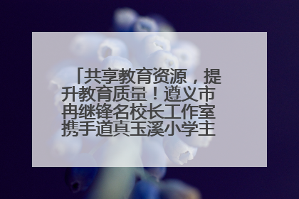 共享教育资源，提升教育质量！遵义市冉继锋名校长工作室携手道真玉溪小学主题研修出新出彩