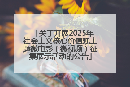 关于开展2025年社会主义核心价值观主题微电影（微视频）征集展示活动的公告