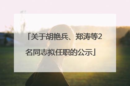 关于胡艳兵、郑涛等2名同志拟任职的公示