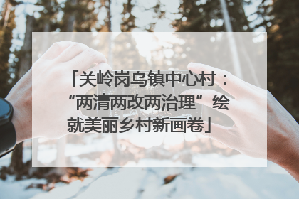关岭岗乌镇中心村：“两清两改两治理”绘就美丽乡村新画卷