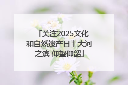 关注2025文化和自然遗产日丨大河之滨 仰望仰韶