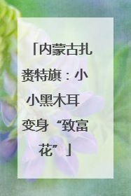 内蒙古扎赉特旗：小小黑木耳 变身“致富花”