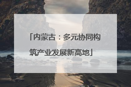 内蒙古：多元协同构筑产业发展新高地