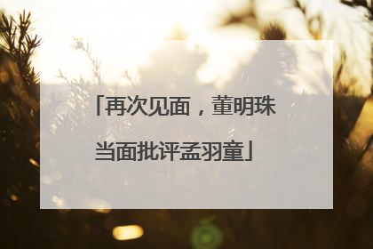 再次见面，董明珠当面批评孟羽童