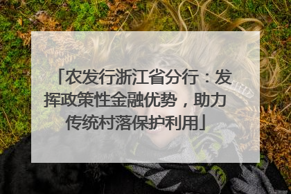 农发行浙江省分行：发挥政策性金融优势，助力传统村落保护利用