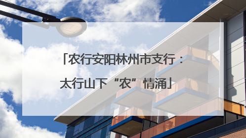 农行安阳林州市支行：太行山下“农”情涌