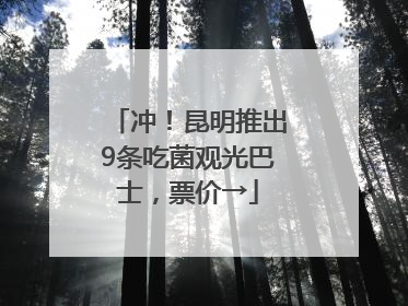 冲！昆明推出9条吃菌观光巴士，票价→
