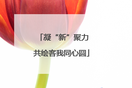 凝“新”聚力 共绘客我同心圆