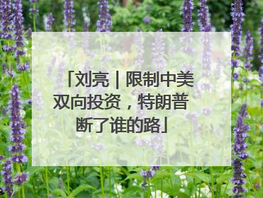 刘亮｜限制中美双向投资，特朗普断了谁的路